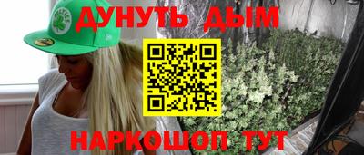 a pvp Новодвинск